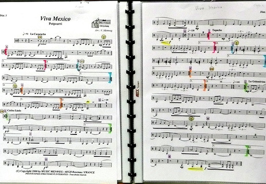 Sorties musicales